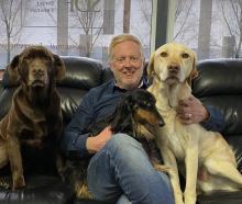 Owen Haring with chocolate labrador Holly, dachshund Frankie and golden labrador Harry. Photo:...