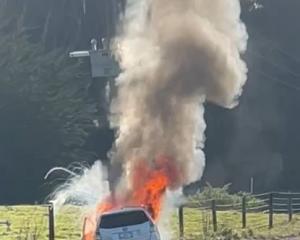 A hybrid car engulfed in flames on State Highway 88 between Dunedin and Port Chalmers yesterday...